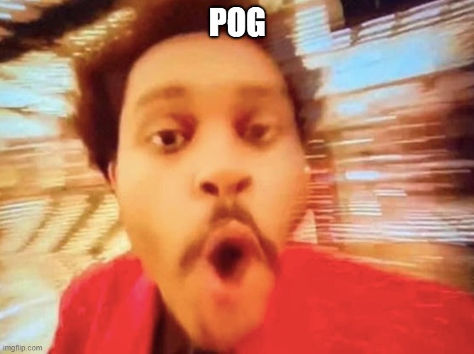 pog | POG | image tagged in pog | made w/ Imgflip meme maker