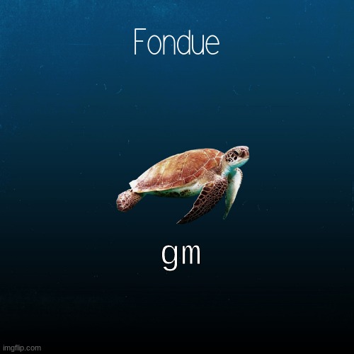 turtle template-Fondue | gm | image tagged in turtle template-fondue | made w/ Imgflip meme maker