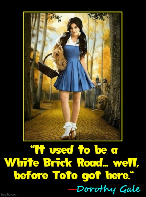 Why it was called the "Golden" Age of Movies | "It used to be a White Brick Road... well, 
before Toto got here."; Dorothy Gale; — | image tagged in vince vance,dorothy,toto,wizard of oz,memes,follow the yellow brick road | made w/ Imgflip meme maker