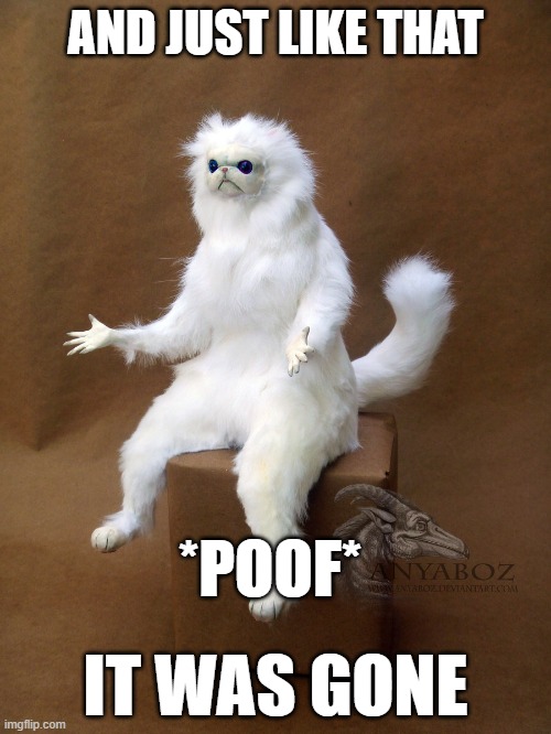 Poof - It was gone | AND JUST LIKE THAT; *POOF*; IT WAS GONE | image tagged in memes,persian cat room guardian single,poof,gone,and just like that | made w/ Imgflip meme maker