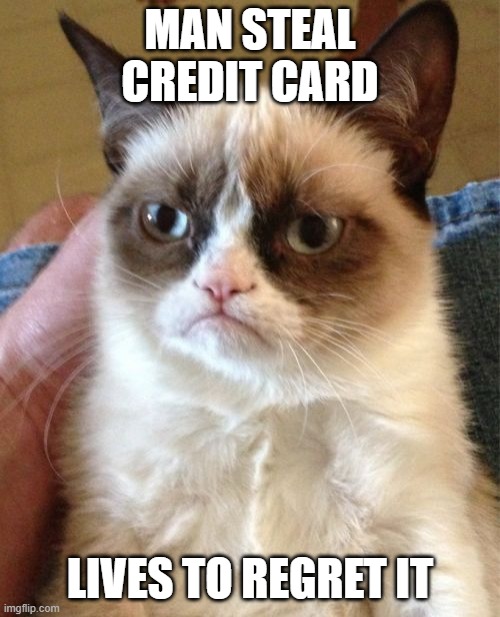 e | MAN STEAL CREDIT CARD; LIVES TO REGRET IT | image tagged in memes,grumpy cat | made w/ Imgflip meme maker