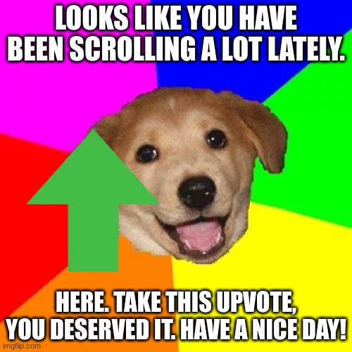 Ok you can have them. I am tired of scrolling too. | LOOKS LIKE YOU HAVE BEEN SCROLLING A LOT LATELY. HERE. TAKE THIS UPVOTE, YOU DESERVED IT. HAVE A NICE DAY! | image tagged in memes,advice dog,cute,dog | made w/ Imgflip meme maker