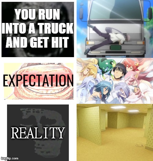 i have exp ngl | YOU RUN INTO A TRUCK AND GET HIT; EXPECTATION; REALITY | image tagged in blank white template,unfunny,memes | made w/ Imgflip meme maker