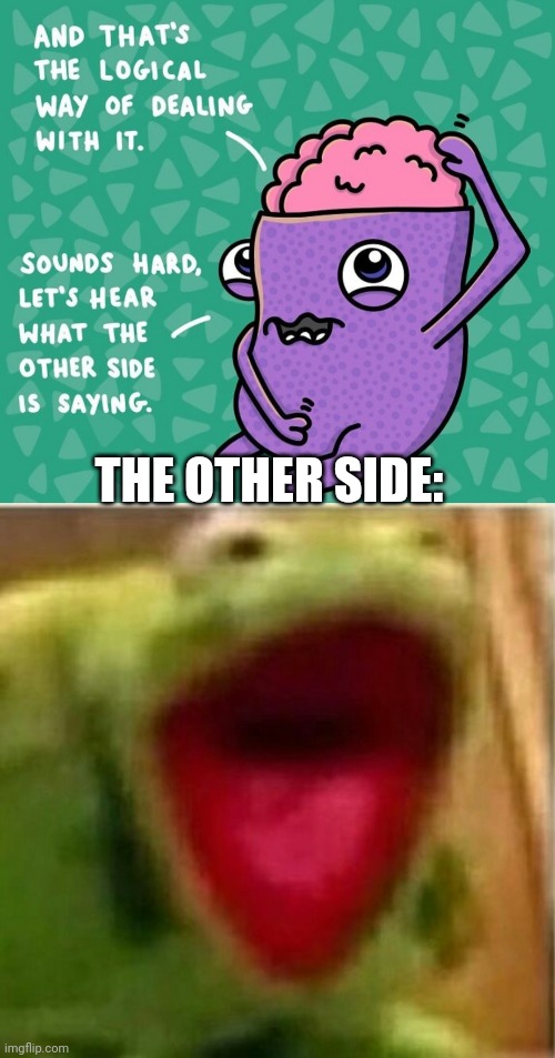 THE OTHER SIDE: | image tagged in ahhhhhhhhhhhhh,ahhhhh,ahh,fun,memes,meme | made w/ Imgflip meme maker