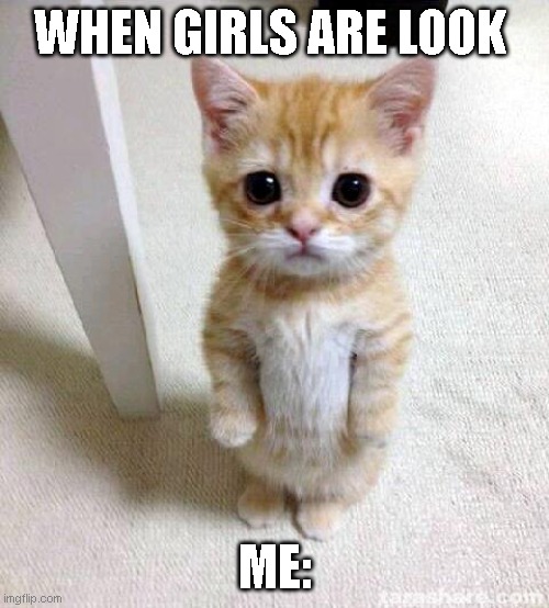 : ) | WHEN GIRLS ARE LOOK; ME: | image tagged in memes,cute cat | made w/ Imgflip meme maker