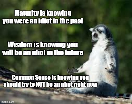 Confucius Say... | Maturity is knowing you were an idiot in the past; Wisdom is knowing you will be an idiot in the future; Common Sense is knowing you should try to NOT be an idiot right now | image tagged in zen lemur,confucius says,words of wisdom,namaste | made w/ Imgflip meme maker