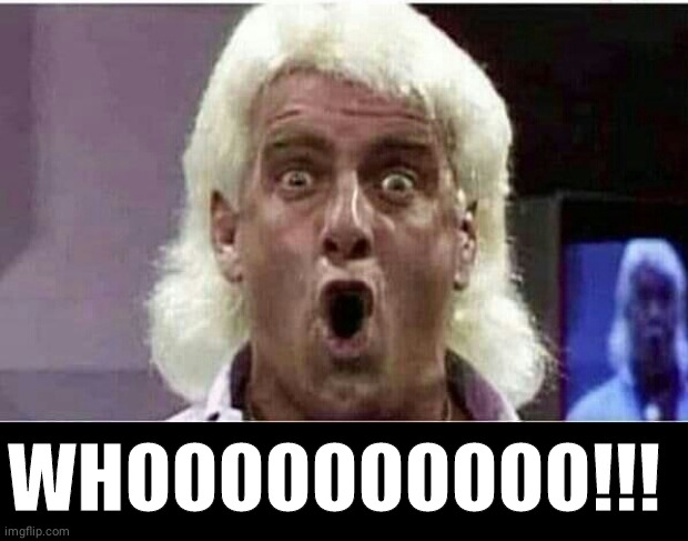 Whooo Nature Boy Ric Flair | WHOOOOOOOOOO!!! | image tagged in ric flair whooo,black box | made w/ Imgflip meme maker