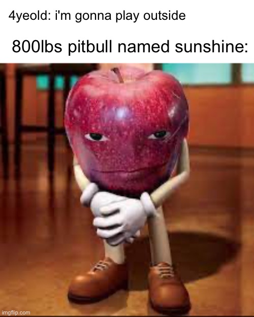 dog | 4yeold: i'm gonna play outside; 800lbs pitbull named sunshine: | image tagged in rizz apple,pitbull,violent,crime,kids | made w/ Imgflip meme maker