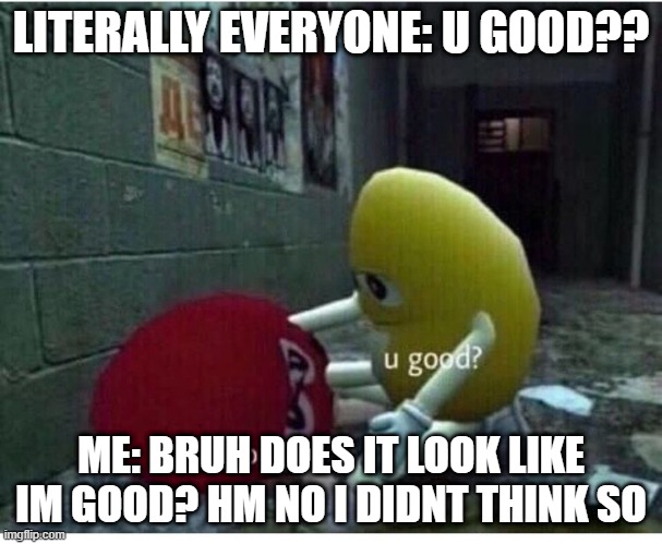 U Good No | LITERALLY EVERYONE: U GOOD?? ME: BRUH DOES IT LOOK LIKE IM GOOD? HM NO I DIDNT THINK SO | image tagged in u good no | made w/ Imgflip meme maker