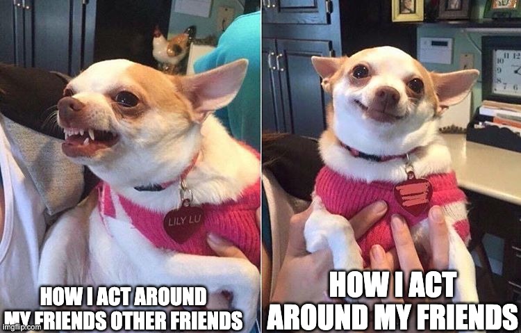 Facts | HOW I ACT AROUND MY FRIENDS; HOW I ACT AROUND MY FRIENDS OTHER FRIENDS | image tagged in angry dog meme | made w/ Imgflip meme maker