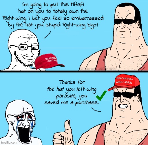 The left think that adding a maga hat to a wojak is owning the Right ...