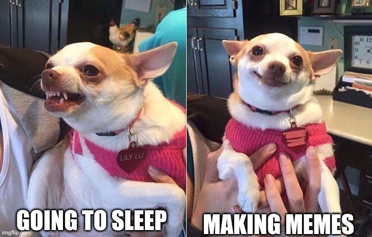 I'm not tired | GOING TO SLEEP; MAKING MEMES | image tagged in angry dog meme | made w/ Imgflip meme maker