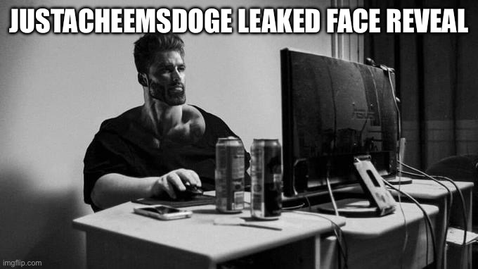 (Moonranger: Real) | JUSTACHEEMSDOGE LEAKED FACE REVEAL | image tagged in gigachad on the computer | made w/ Imgflip meme maker