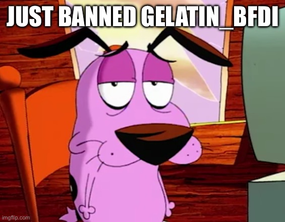 Unamused Courage | JUST BANNED GELATIN_BFDI | image tagged in unamused courage | made w/ Imgflip meme maker