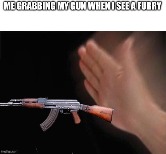 Shoot furry | ME GRABBING MY GUN WHEN I SEE A FURRY | image tagged in anti furry,furry hunting license,anti-furry,guns,gun,ak47 | made w/ Imgflip meme maker