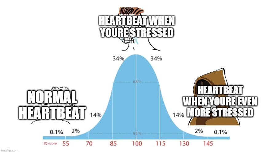 99% graph | HEARTBEAT WHEN YOURE STRESSED; HEARTBEAT WHEN YOURE EVEN MORE STRESSED; NORMAL HEARTBEAT | image tagged in 99 graph | made w/ Imgflip meme maker