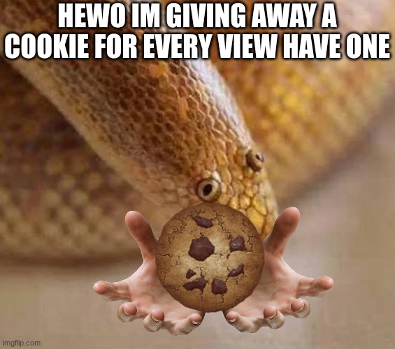 Arabian sand boa | HEWO IM GIVING AWAY A COOKIE FOR EVERY VIEW HAVE ONE | image tagged in arabian sand boa | made w/ Imgflip meme maker