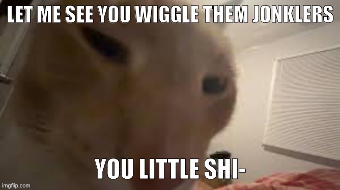 Let me see you wiggle them jonklers | image tagged in let me see you wiggle them jonklers | made w/ Imgflip meme maker