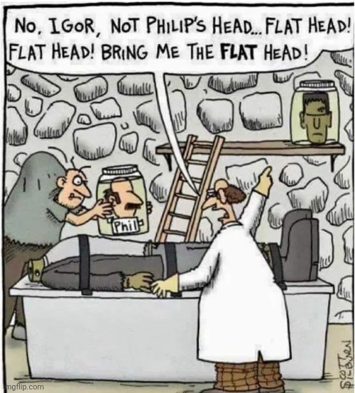 FRANKENSTEIN ONLY LIKES FLAT | image tagged in comics/cartoons,frankenstein | made w/ Imgflip meme maker