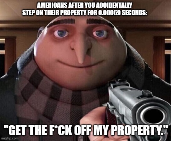 GET OFF MY PROPERTY | AMERICANS AFTER YOU ACCIDENTALLY STEP ON THEIR PROPERTY FOR 0.00069 SECONDS:; "GET THE F*CK OFF MY PROPERTY." | image tagged in gru gun,americans | made w/ Imgflip meme maker