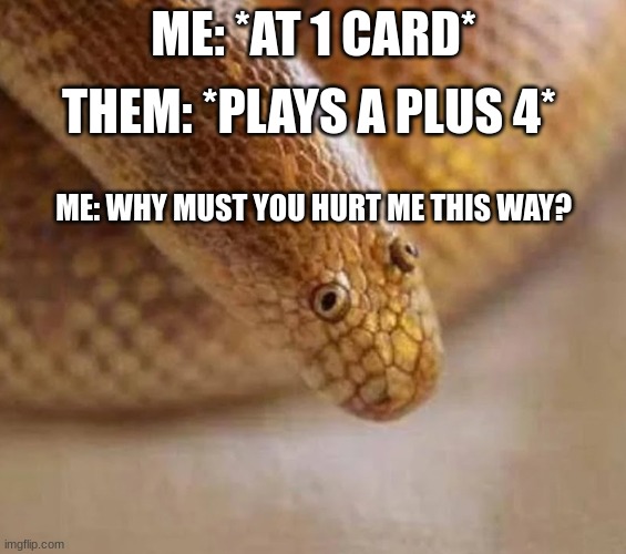 Arabian sand boa | THEM: *PLAYS A PLUS 4*; ME: *AT 1 CARD*; ME: WHY MUST YOU HURT ME THIS WAY? | image tagged in arabian sand boa | made w/ Imgflip meme maker