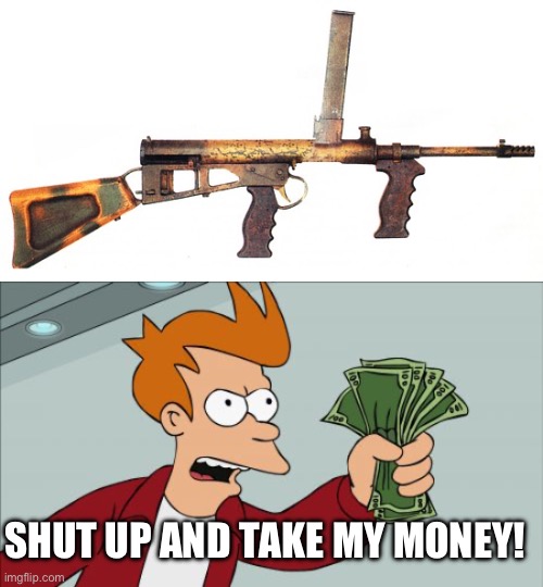 SHUT UP AND TAKE MY MONEY! | image tagged in memes,shut up and take my money fry | made w/ Imgflip meme maker