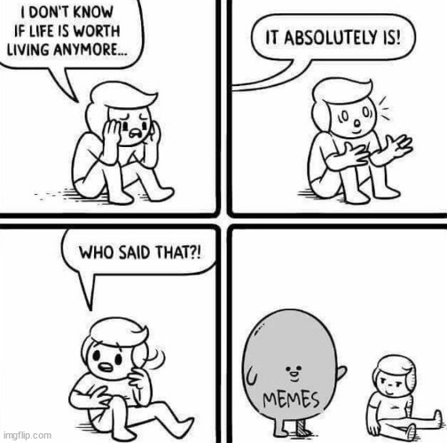 Memes | image tagged in comics | made w/ Imgflip meme maker