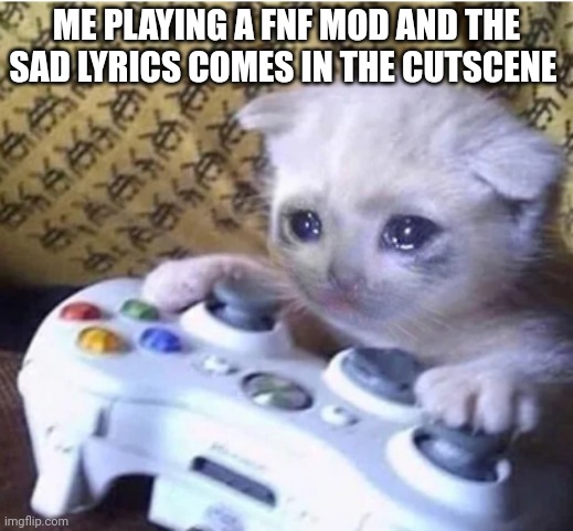 What mod has the sad lyrics | ME PLAYING A FNF MOD AND THE SAD LYRICS COMES IN THE CUTSCENE | image tagged in sad gaming cat,gaming,fnf,lyrics,cutscene | made w/ Imgflip meme maker