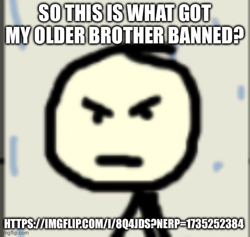 a_stickman announcement 2 | SO THIS IS WHAT GOT MY OLDER BROTHER BANNED? HTTPS://IMGFLIP.COM/I/8Q4JDS?NERP=1735252384 | image tagged in a_stickman announcement 2 | made w/ Imgflip meme maker