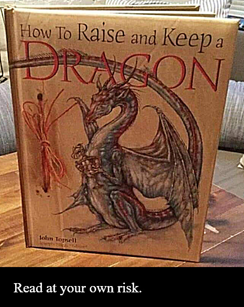 Where dragons are real | Read at your own risk. | image tagged in memes,middle school,books,dragons | made w/ Imgflip meme maker