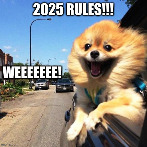 The weekend before the first day back at school | 2025 RULES!!! WEEEEEEE! | image tagged in happy dog,2025,happy new year,weekend,memes,alternate reality | made w/ Imgflip meme maker