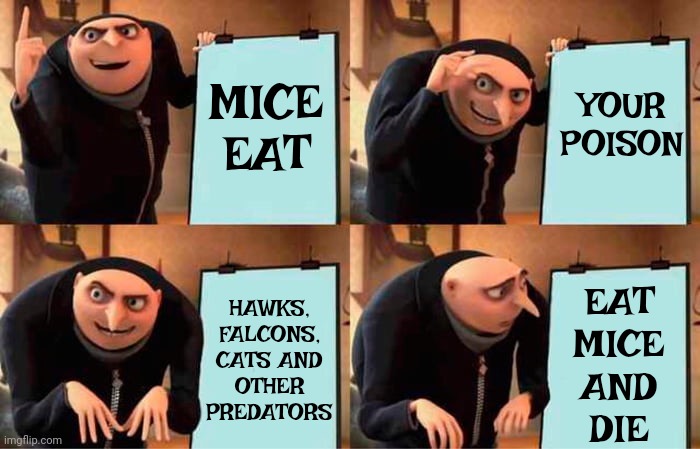 Poison Doesn't Just Kill Mice | MICE EAT; YOUR POISON; HAWKS, FALCONS, CATS AND OTHER PREDATORS; EAT
MICE
AND
DIE | image tagged in memes,gru's plan,poison,mice,birds of prey,think about it | made w/ Imgflip meme maker