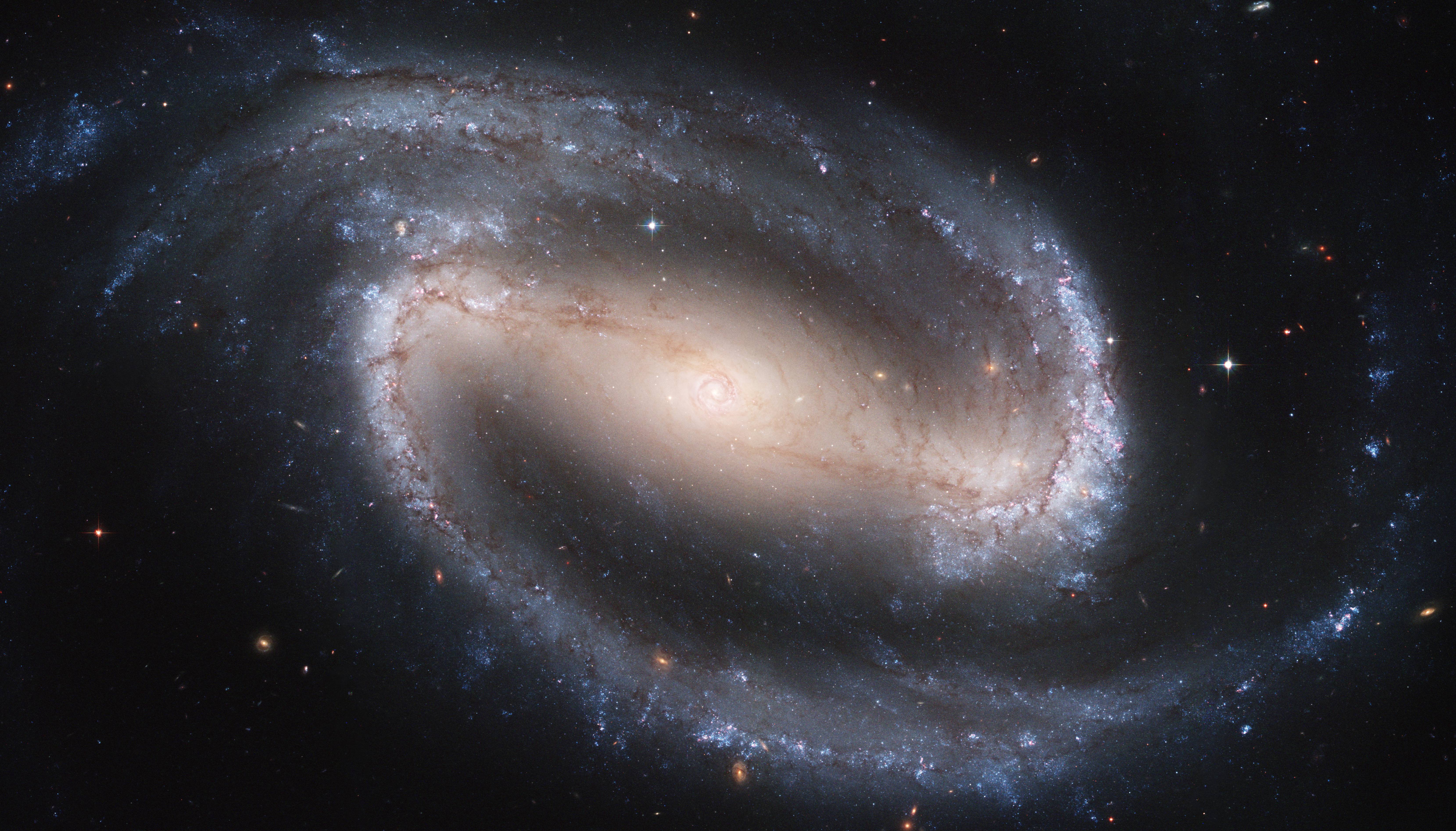 Identify The Parts Of The Barred Spiral Galaxy