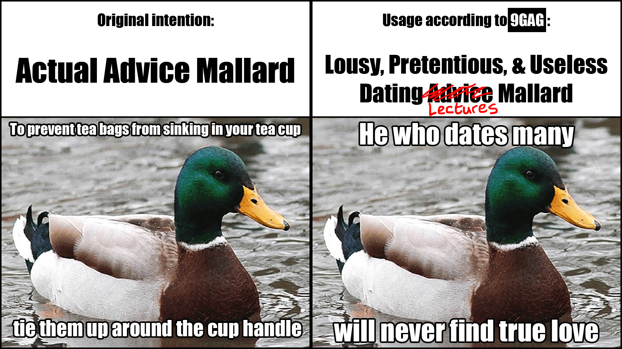 Usage of Actual Advice Mallard | 9GAG | Know Your Meme