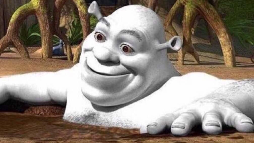 Template 2 Shrek In A Mud Bath Know Your Meme Memes Shrek Shrek ...