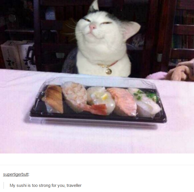 supertigerbutt My sushi is too strong for you, traveller