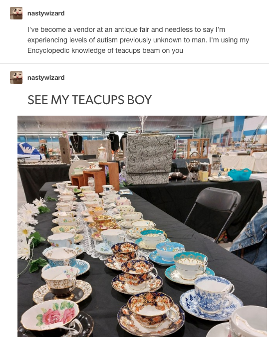 nastywizard I've become a vendor at an antique fair and needless to say I'm experiencing levels of autism previously unknown to man. I'm using my Encyclopedic knowledge of teacups beam on you nastywizard SEE MY TEACUPS BOY