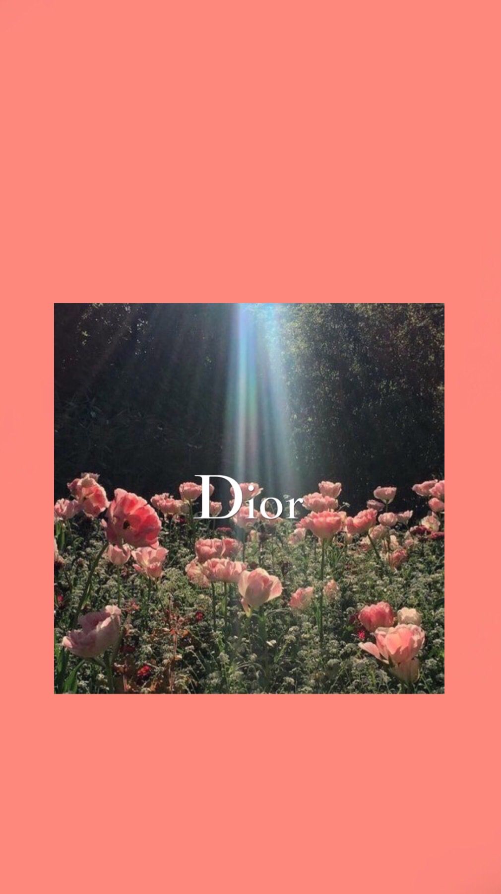 Dior Aesthetic aesthetic dior HD phone wallpaper  Pxfuel