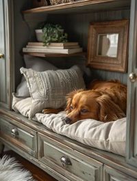 33 Ultimate DIY Dog Bed Ideas for Large Dogs