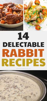 Looking for something different to make for dinner tonight? Check out these 14 rabbit recipes that will tantalize your taste buds. From simple dishes like roasted rabbit to more complex ones with unique flavors, there's sure to be a recipe here that you'll love. So get cooking! There is rabbit pot pie, rabbit stew, rabbit gravy, braised rabbit and more.