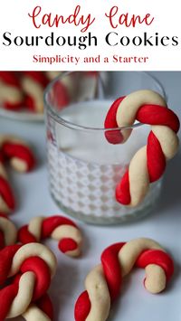 Twists of red and white sourdough cookie dough, flavored with peppermint extract! These sweet and buttery Candy Cane Sourdough Cookies are simple to make and perfect festive for the holiday season.