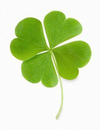 "While opportunity knocks, some people are out in the back yard looking for four leaf clovers."