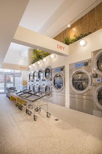 How These Sisters Built an Eco-Friendly Laundromat That’s Making Us Never Look at Laundry the Same Way Again — Yellow Co.