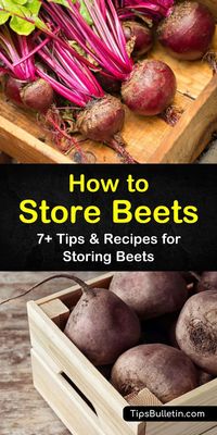 7+ Handy Ways to Store Beets