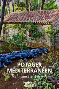 potager mediterraneen