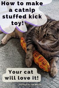 Make your cat a kick toy filled with catnip. Cat's love kick toys because they're the perfect length and size to wrestle with and kick at. Plus the catnip drives them crazy! Sew your own cat toys