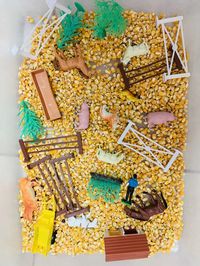 Sensory bin with farm animals and corn. #preschool #farmunit #teachers