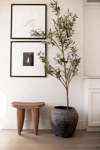 Vintage Olive Tree Pot Large | Luxe B Co