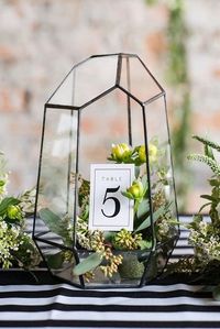 Use terrariums to hold table number cards for your wedding! Add color and fresh accents with small bud flowers and sprigs.  http://www.lightsforalloccasions.com/p-6238-terrarium-geometric-glass-75-in-tall-x-5-in-wide-clear-bronze.aspx