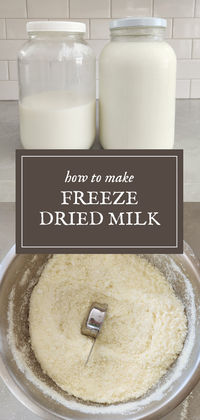 Learn how to freeze dry milk in this step-by-step guide.